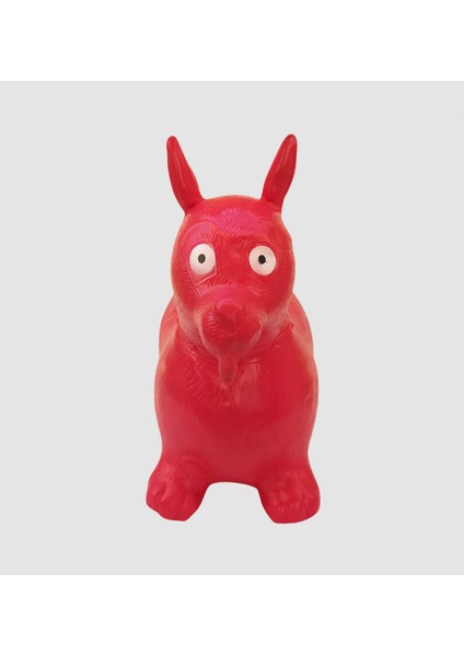 ilerigrup Şişme Zıp Zıp Pilates & Jimlastik Hayvanı Köpek