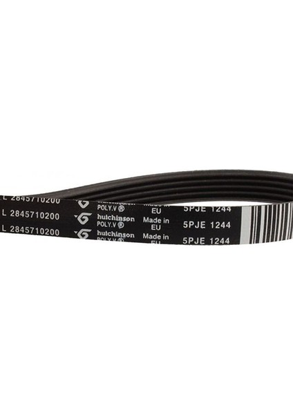 1244 5pje Kayış , Çamaşır Makinesi Motor Kayışı 1244 J5