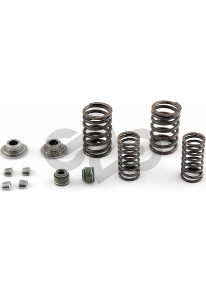 52715 Subap Yay ve Tırnağı Cg