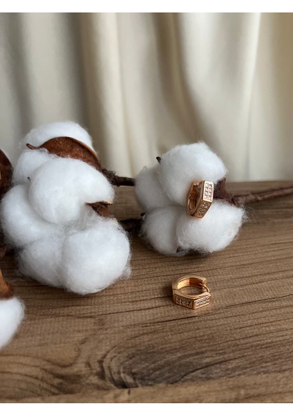 Kadın Zirkon Taşlı Kararmaz Beşgen Arkadan Kapanır Küpe fiyatları