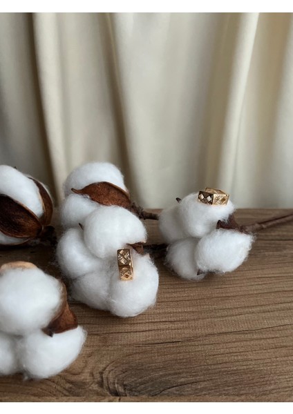 Kadın Zirkon Taşlı Kararmaz Beşgen Arkadan Kapanır Küpe modelleri