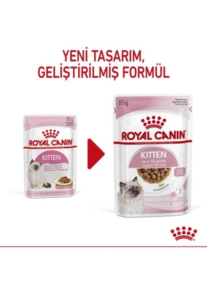 Kitten Yaş Mama 85GR*12 Adet