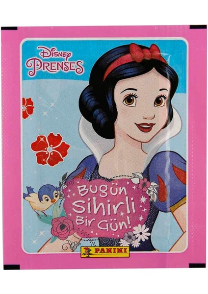 Disney Princess Bugün Sihirli Bir Gün Çıkartma Albümü