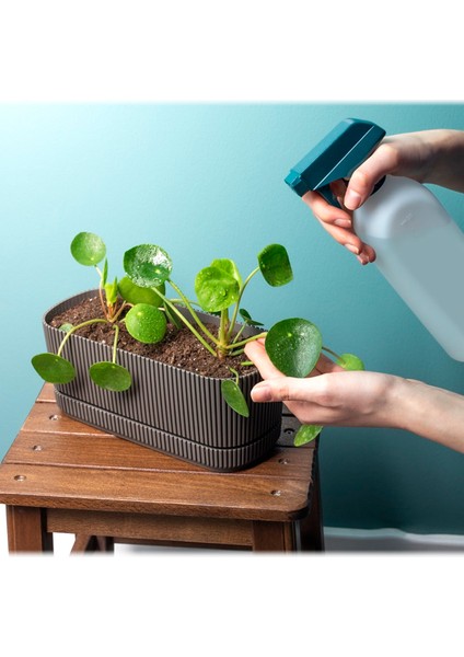 4 Adet Pera Uzun Saksı Seti No2 3 Litre Latte Bej 29CM Plastik Tabaklı Çiçek Bitki Balkon Saksısı