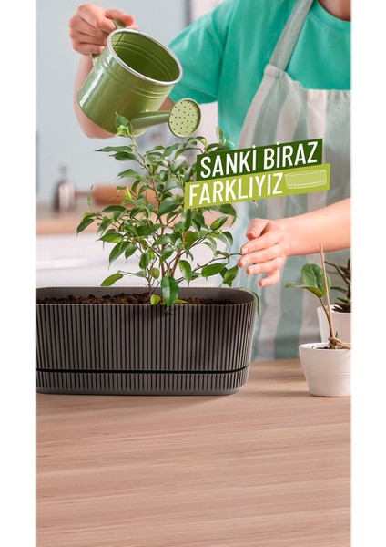 4 Adet Pera Uzun Saksı Seti No2 3 Litre Krater Kahve 29CM Plastik Tabaklı Çiçek Bitki Balkon Saksısı