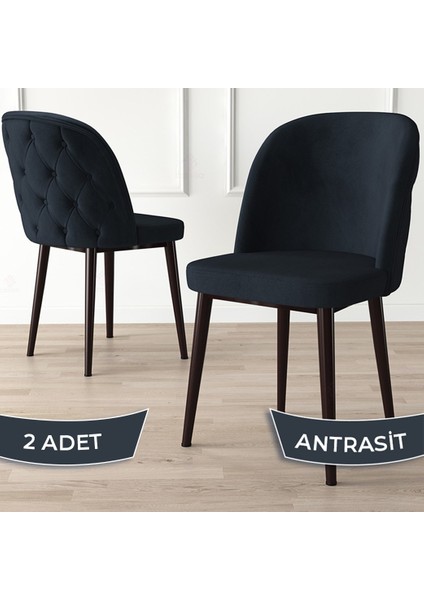 Concept Kage Serisi 2 Adet Mutfak Sandalyesi Kapitoneli Kahve Metal Ayak 1. Sınıf Babyface Kumaş