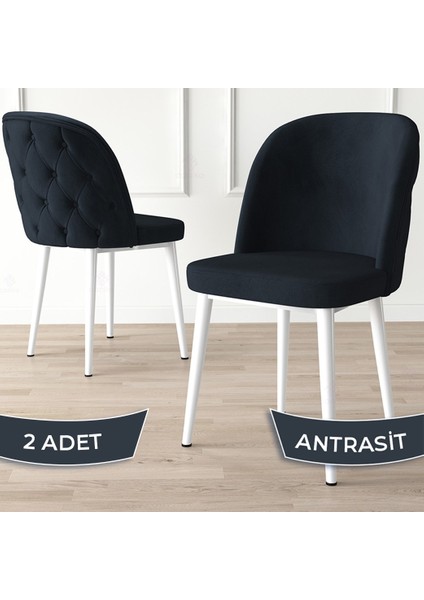 Concept Kage Serisi 2 Adet Mutfak Sandalyesi Kapitoneli Beyaz Metal Ayak 1. Sınıf Babyface Kumaş