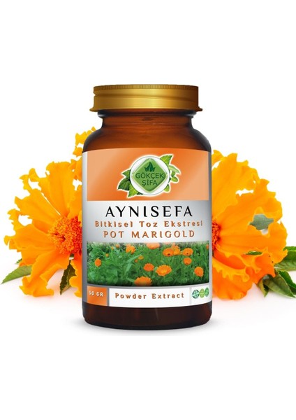 Aynısefa Toz Ekstresi 50 gr. Cam Kavanoz