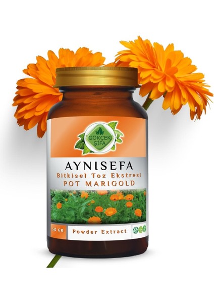 Aynısefa Toz Ekstresi 50 gr. Cam Kavanoz