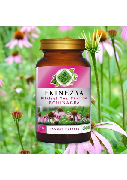 Ekinezya Toz Ekstresi (Echinacea Purpurea)70 gr. Cam Kavanoz
