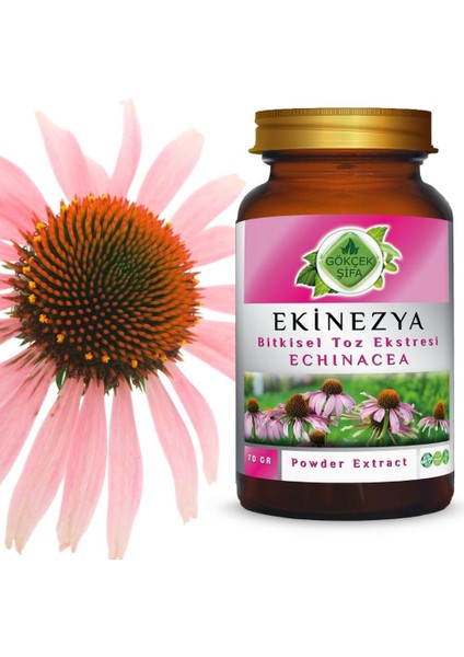 Ekinezya Toz Ekstresi (Echinacea Purpurea)70 gr. Cam Kavanoz fiyatları