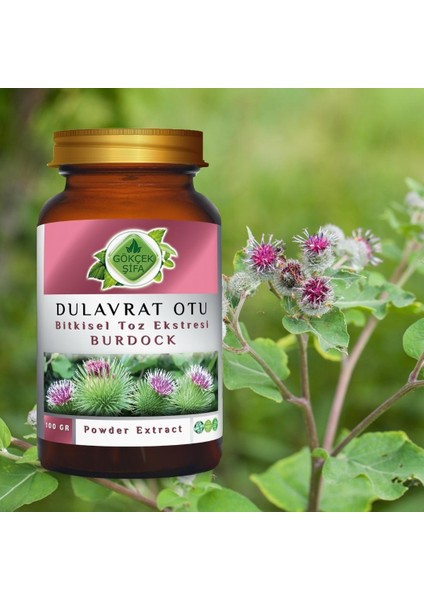 Dulavrat Otu Toz Ekstresi (Arctium Lappa)100 gr. Cam Kavanoz fırsatları