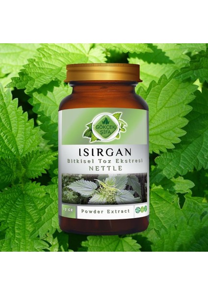 Isırgan Toz Ekstresi (Astragalus membranaceus)70 gr. Cam Kavanoz