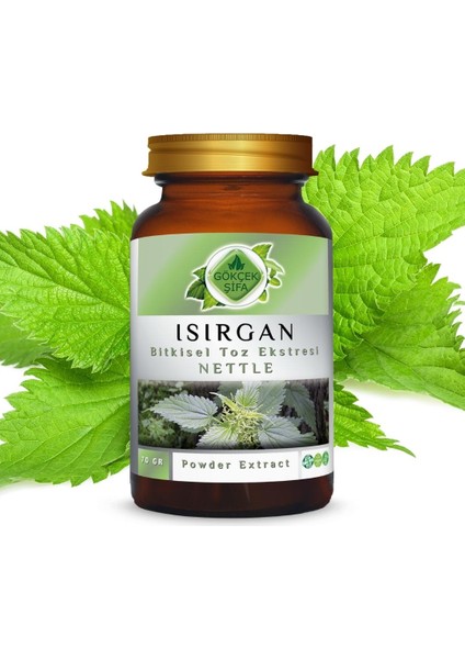 Isırgan Toz Ekstresi (Astragalus membranaceus)70 gr. Cam Kavanoz