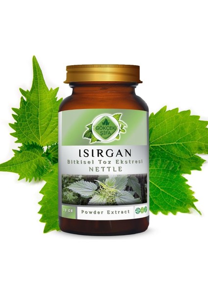 Isırgan Toz Ekstresi (Astragalus membranaceus)70 gr. Cam Kavanoz