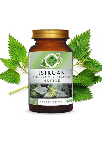 Isırgan Toz Ekstresi (Astragalus membranaceus)70 gr. Cam Kavanoz
