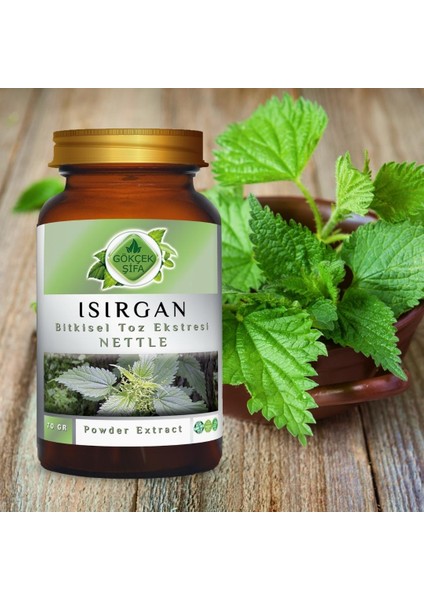Isırgan Toz Ekstresi (Astragalus membranaceus)70 gr. Cam Kavanoz