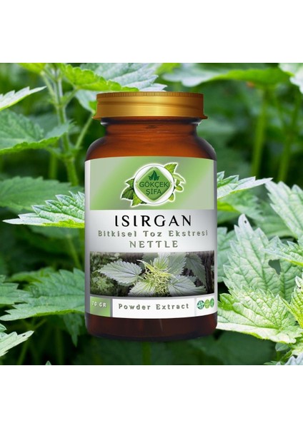 Isırgan Toz Ekstresi (Astragalus membranaceus)70 gr. Cam Kavanoz