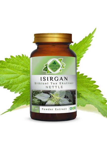 Isırgan Toz Ekstresi (Astragalus membranaceus)70 gr. Cam Kavanoz