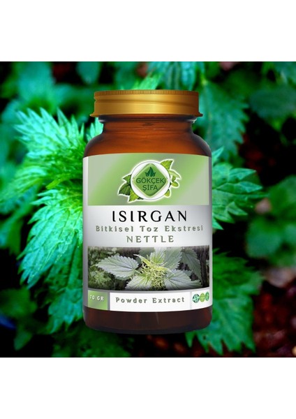 Isırgan Toz Ekstresi (Astragalus membranaceus)70 gr. Cam Kavanoz