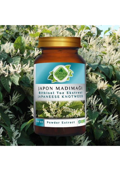 Japon Poligonumu Toz Ekstresi 100 Gr. Cam Kavanoz fiyatları