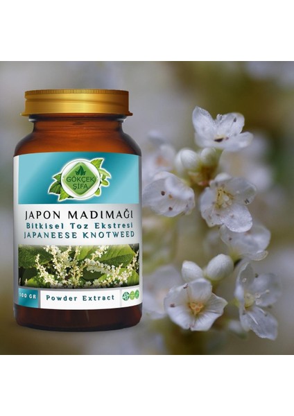 Japon Poligonumu Toz Ekstresi 100 Gr. Cam Kavanoz