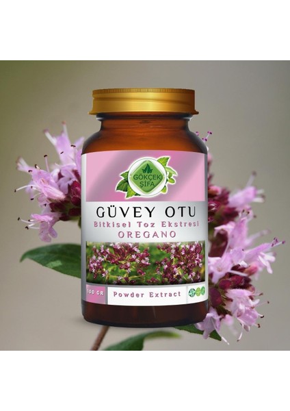 Güvey Otu (Oregano) Toz Ekstresi 100 gr Cam Kavanoz