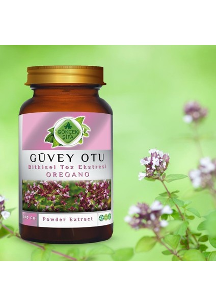 Güvey Otu (Oregano) Toz Ekstresi 100 gr Cam Kavanoz