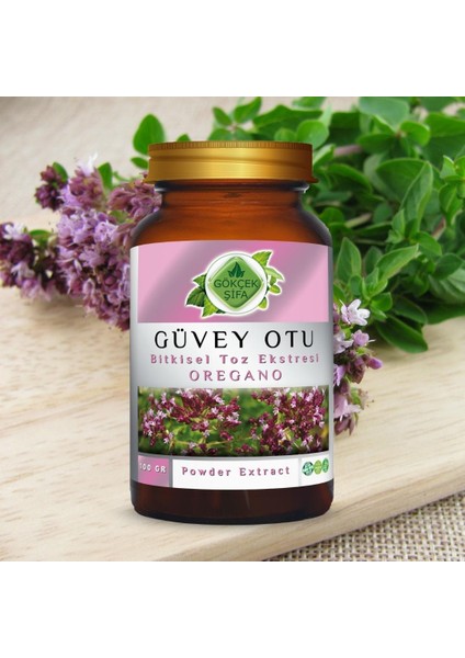 Güvey Otu (Oregano) Toz Ekstresi 100 gr Cam Kavanoz