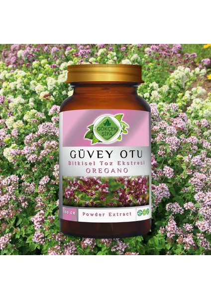 Güvey Otu (Oregano) Toz Ekstresi 100 gr Cam Kavanoz