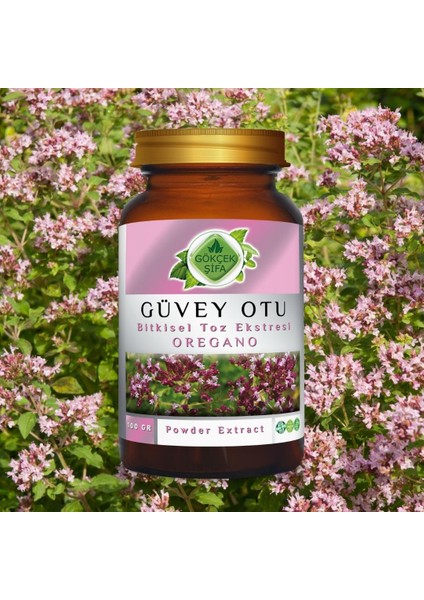 Güvey Otu (Oregano) Toz Ekstresi 100 gr Cam Kavanoz
