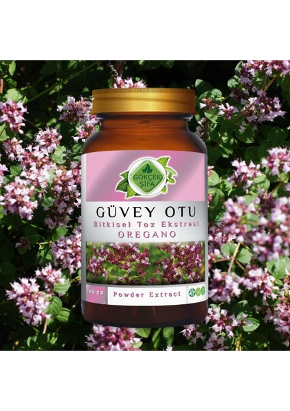 Güvey Otu (Oregano) Toz Ekstresi 100 gr Cam Kavanoz