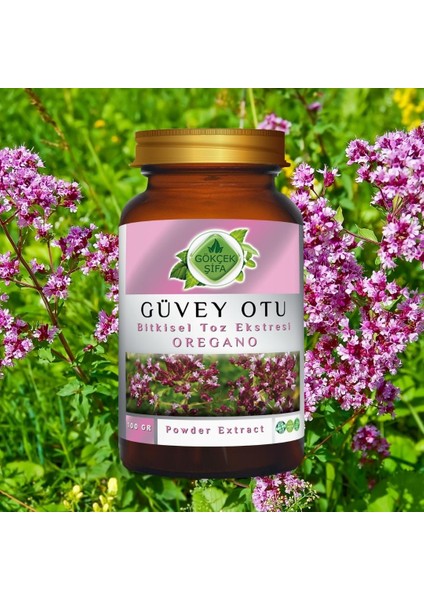 Güvey Otu (Oregano) Toz Ekstresi 100 gr Cam Kavanoz