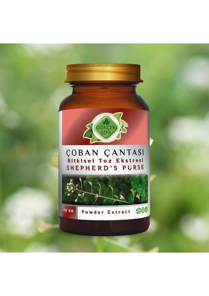 Çoban Çantası Toz Ekstresi (Capsella bursa-pastoris) 60 gr. Cam Kavanoz