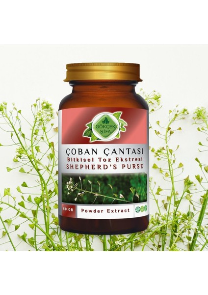 Çoban Çantası Toz Ekstresi (Capsella bursa-pastoris) 60 gr. Cam Kavanoz