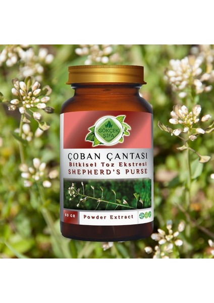 Çoban Çantası Toz Ekstresi (Capsella bursa-pastoris) 60 gr. Cam Kavanoz