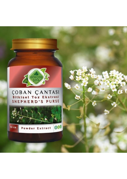 Çoban Çantası Toz Ekstresi (Capsella bursa-pastoris) 60 gr. Cam Kavanoz