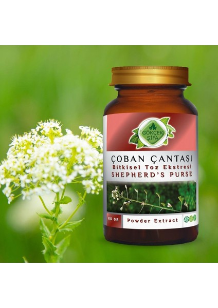 Çoban Çantası Toz Ekstresi (Capsella bursa-pastoris) 60 gr. Cam Kavanoz