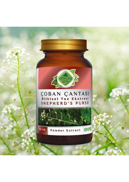 Çoban Çantası Toz Ekstresi (Capsella bursa-pastoris) 60 gr. Cam Kavanoz
