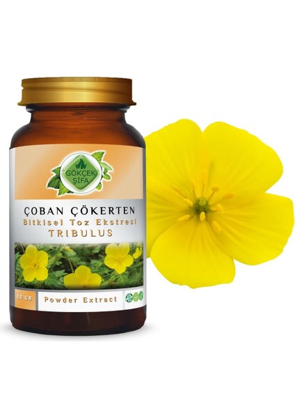 Çoban Çökerten Toz Ekstresi (Tribulus terrestris)80 gr. Cam Kavanoz