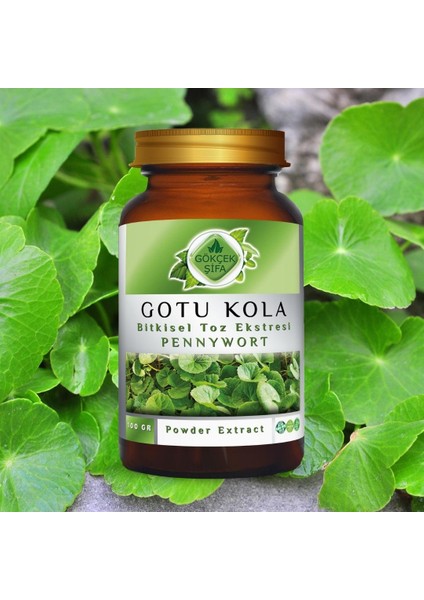 Gotu Kola Toz Ekstresi (Centella asiatica)100 gr. Cam Kavanoz