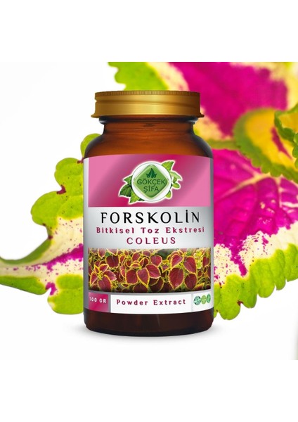 Forskolin Toz Ekstresi 100 Gr. Cam Kavanoz