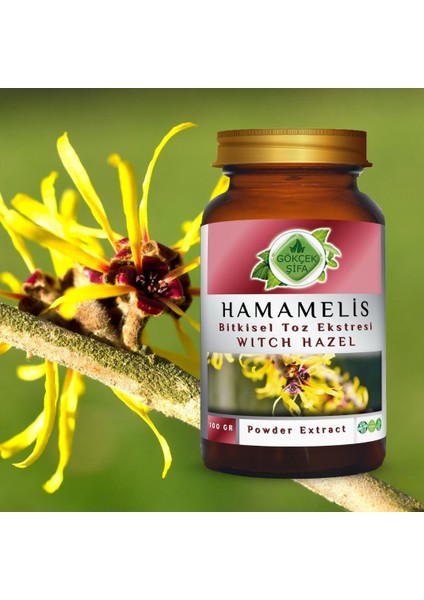 Gökçek Şifa Hamamelis Toz Ekstresi 100 Gr. Cam Kavanoz