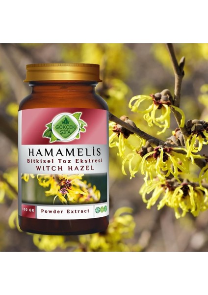 Gökçek Şifa Hamamelis Toz Ekstresi 100 Gr. Cam Kavanoz