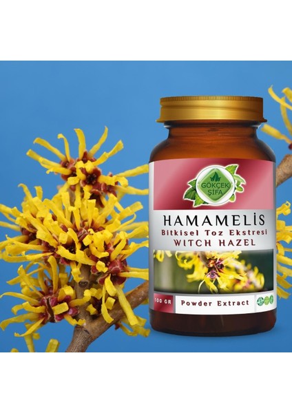 Gökçek Şifa Hamamelis Toz Ekstresi 100 Gr. Cam Kavanoz