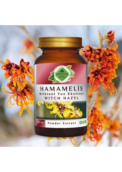 Gökçek Şifa Hamamelis Toz Ekstresi 100 Gr. Cam Kavanoz