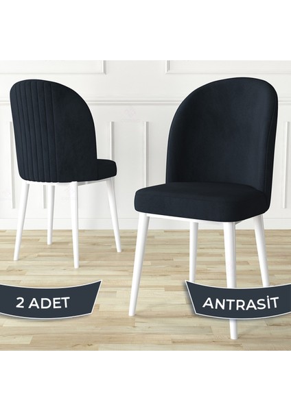 Aste Serisi 2 Adet Mutfak Sandalyesi Metal Beyaz Iskeletli 1. Sınıf Babyface Kumaş