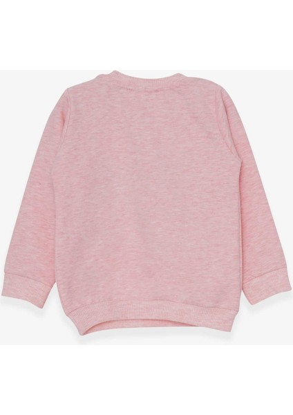 Kız Çocuk Sweatshirt Sevimli Hayvancıklar Baskılı 1.5-5 Yaş, Somon Melanj fiyatları