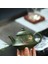 Gerçek El Yapımı Yeşil Su Isıtıcısı Yixing Mor Kil Çaydanlık Puer Çay Seti Kung Fu Zisha Teaware Ücretsiz Nakliye | Çaydanlıklar (Yurt Dışından) 3