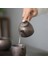 Retro Pas Sır Çaydanlıklar Pigmentli Kung Fu Çay Potu El Yapımı Seramik Drinkware Yüksek Çaydanlık Su Isıtıcısı Porselen | Çaydanlıklar (Yurt Dışından) 3